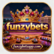 funzybetsapp.com favicon